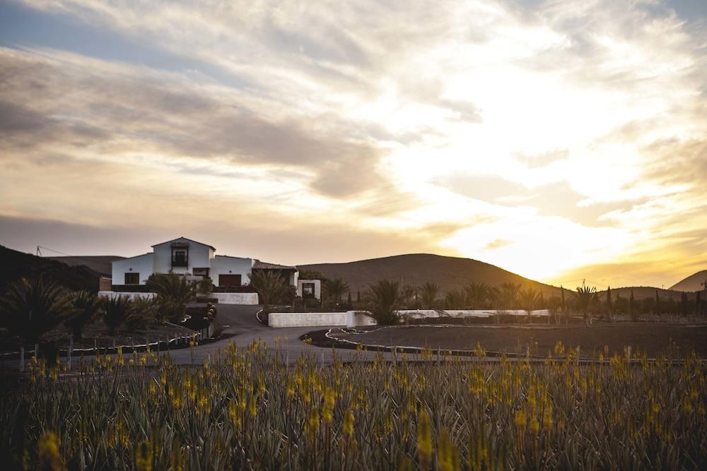 Casa Pilar, Aurora Y Tarabilla En Finca Ecologica Teguitar Buitenkant foto
